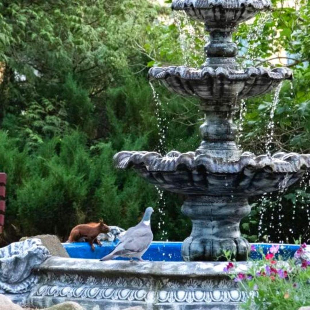 Krysztalowa Przystan Mrzeżyno Exteriér fotografie